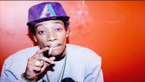 WizSmoke1-525x350
