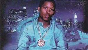 alpo-img