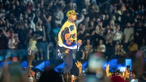 chris-browns-former-housekeeper-tour-profits-dog-attack-4-1785346231794