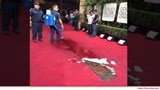 0112-red-carpet-twitterryanseacrest-7