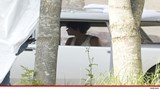 0713-halle-berry-wenn-3
