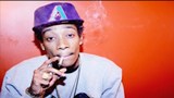WizSmoke1-525x350