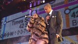 foxy_brown