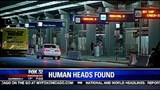 human_heads