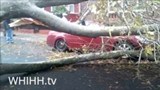 sandy_pic