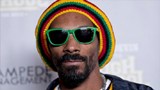 snoop