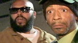 suge_n_katt