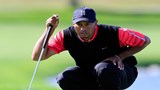 tiger_wood_